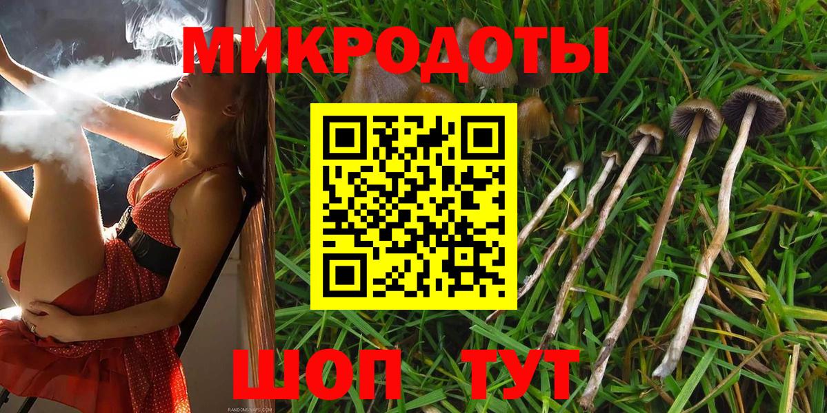 Псилоцибиновые грибы ЛСД Гусиноозёрск