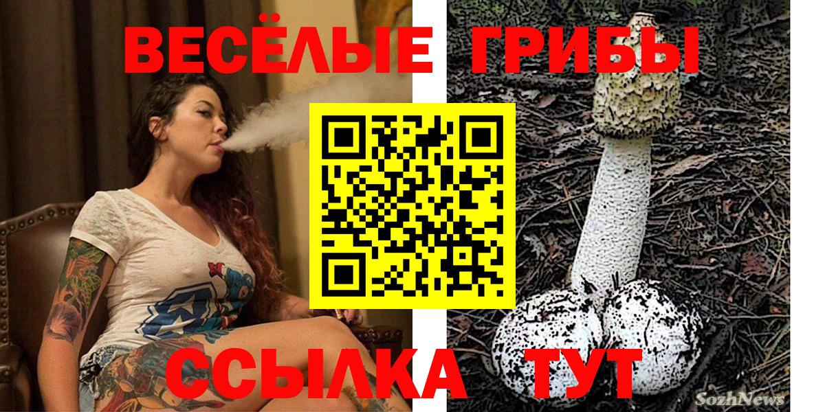 Галлюциногенные грибы мухоморы  закладки  Гусиноозёрск  Вход с VPN 